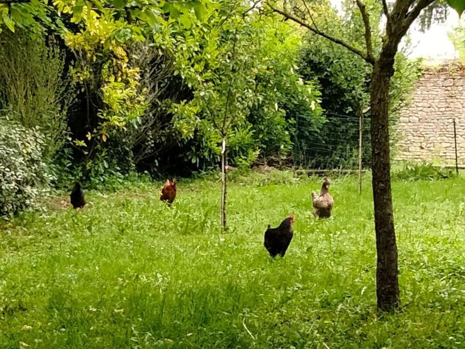 Villa Le Cinq, Au Coeur Du Vexin Themericourt Esterno foto